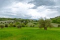 Typical Tuscan views