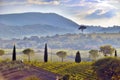 Typical Tuscany countryside landscape; sunset over rolling hills Royalty Free Stock Photo