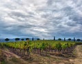 Typical Tuscany countryside landscape; sunset over rolling hills Royalty Free Stock Photo