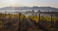 Typical Tuscany countryside landscape; sunset over rolling hills Royalty Free Stock Photo