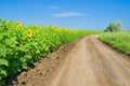 A typical Ukrainian rural landscape