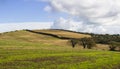 Typical undulating hills and dales of County Down in Northern Ireland.