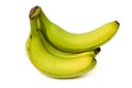 Typical unripe supermarket bananas isolated on whi