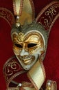 A typical Venetian carnival mask representing Arlecchino designed in traditional style Royalty Free Stock Photo