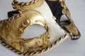 Venetian carnival mask Royalty Free Stock Photo