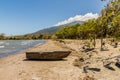 A typical view in Ometepe in Nicaragua Royalty Free Stock Photo