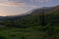 The typical view over the Konavle Valley with is rising trees during sunset Royalty Free Stock Photo