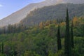 The typical view over the Konavle Valley with is rising trees during sunset Royalty Free Stock Photo