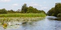 Typical view of a the swamp in National Park Weerribben Royalty Free Stock Photo