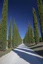 Typical villa in the Italian countryside. Road with cypresses Royalty Free Stock Photo