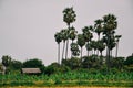 Typical village in Myanmar. Royalty Free Stock Photo