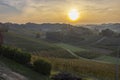 Typical vineyard near Canale, Barolo wine region, province of Cuneo, region of Piedmont, Italy Royalty Free Stock Photo