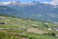 Typical vineyard in the region of Sierre, Valais, Switzerland