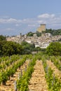 Typical vineyard with stones near Chateauneuf-du-Pape, Cotes du Rhone, France Royalty Free Stock Photo