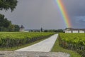 Typical vineyards near Chateau Latour, Bordeaux, Aquitaine, France Royalty Free Stock Photo