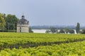 Typical vineyards near Chateau Latour, Bordeaux, Aquitaine, France Royalty Free Stock Photo