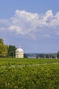 Typical vineyards near Chateau Latour, Bordeaux, Aquitaine, France Royalty Free Stock Photo