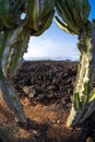 Typical volcanic landscape. Lanzarote