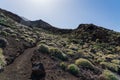 Typical volcanic landscape of Tenerife.