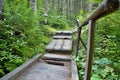 Typical walk in the forest open-air museum in Vydrovo.