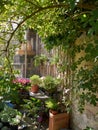 Typical wall planter pots Tuscany Italy style