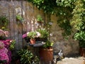 Typical wall planter pots Tuscany Italy style