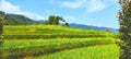 This is typical of West java Indonesian Landscape with rice field Royalty Free Stock Photo