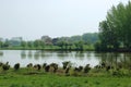 Typical wet dutch landscape