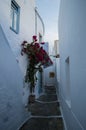 Typical Whitewashed Houses and Alley in Plaka, Milos, Greece