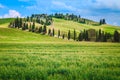 Typical winding rural road with cypresses in Tuscany, Italy Royalty Free Stock Photo