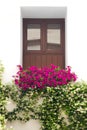 Typical Window decorated Pink and White Flowers, Cordoba, Spain Royalty Free Stock Photo