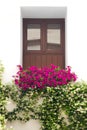 Typical Window decorated Pink and White Flowers, Cordoba, Spain