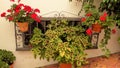 Typical window with plants-Benalmadena