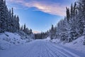 Typical winter landscape on a sunny day in the Yukon.