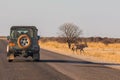 Typical 4x4 car in Namibia, Oryx antelope by the road. Etosha National Park, Namibia Royalty Free Stock Photo