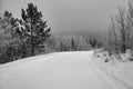 A typical Yukon road