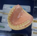 Typodont, the plastic moulage of human jaws and teeth, placed on a counter of a shop