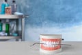 Typodont teeth and dentist mirror on table Royalty Free Stock Photo