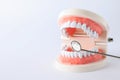 Typodont teeth and dentist mirror on white background