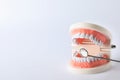 Typodont teeth and dentist mirror on white background