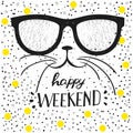 Typographic design poster Hello Weekend lettering and modern calligraphy quote. Funny cat with glasses