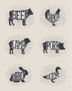 Typographic Farm Enimals Icons and Meat Labels Royalty Free Stock Photo