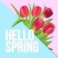 Typographic poster design with realistic tulips bouquet. Hello S