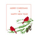 Typography banner red Merry Christmas and Happy New Year, red cardinals on fir tree on white