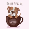 Typography slogan and hand drawn French Pitbull Dog with coffee for printing, t shirt.