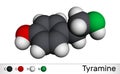 Tyramine, tyramin molecule. It is monoamine compound derived from tyrosine. Molecular model