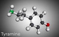 Tyramine, tyramin molecule. It is monoamine compound derived from tyrosine. Molecular model