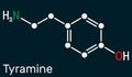 Tyramine, tyramin molecule. It is monoamine compound derived from tyrosine. Skeletal chemical formula on the dark blue background