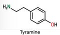 Tyramine, tyramin molecule. It is monoamine compound derived from tyrosine. Skeletal chemical formula