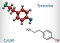 Tyramine, tyramin molecule. It is monoamine compound derived from tyrosine. Structural chemical formula and molecule model